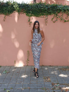 Conjunto SPARTI